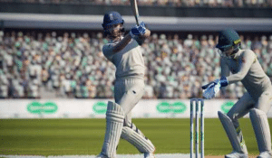 Cricket 22 Full Size Game